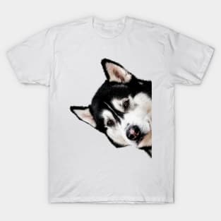 Malamute Peekaboo T-Shirt